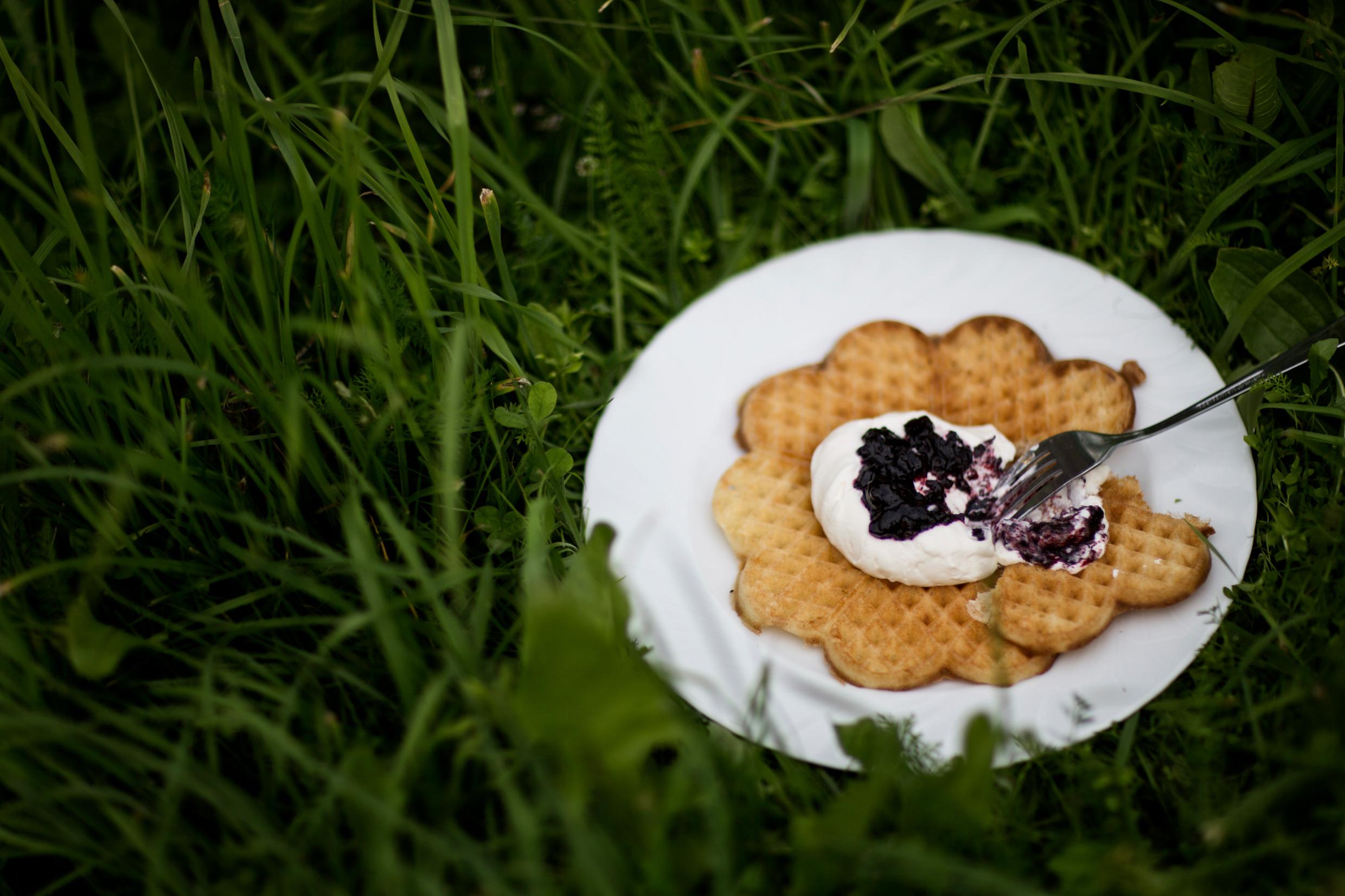 A waffle with jam and whipped cream