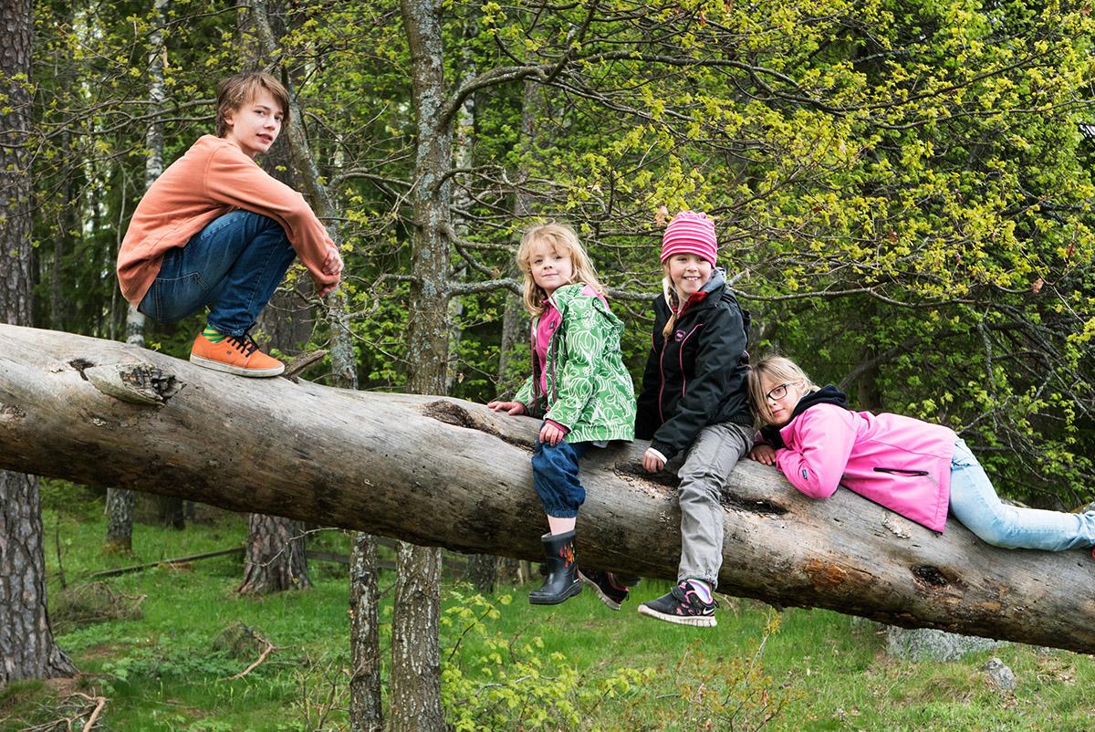 Children playing in the forest.