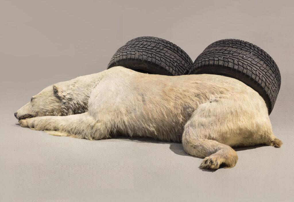 A polar bear sleeping next to car tires.