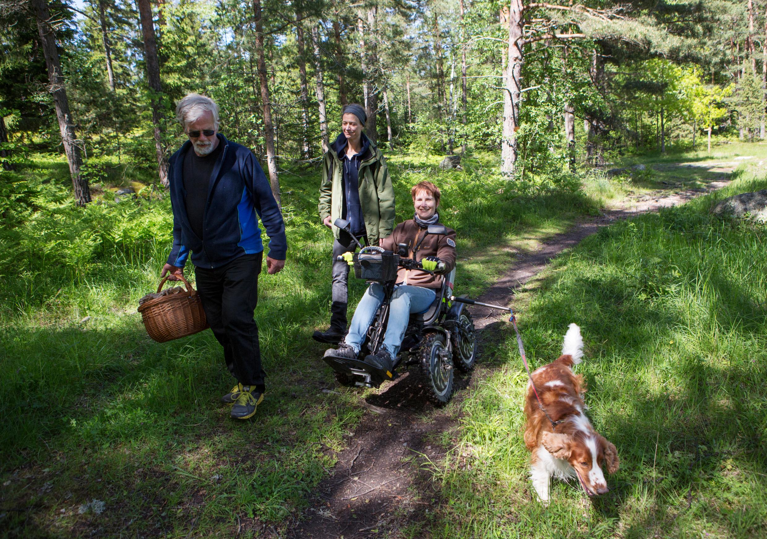 Three people, one in a permobile, picking berries in the forest with their dog.