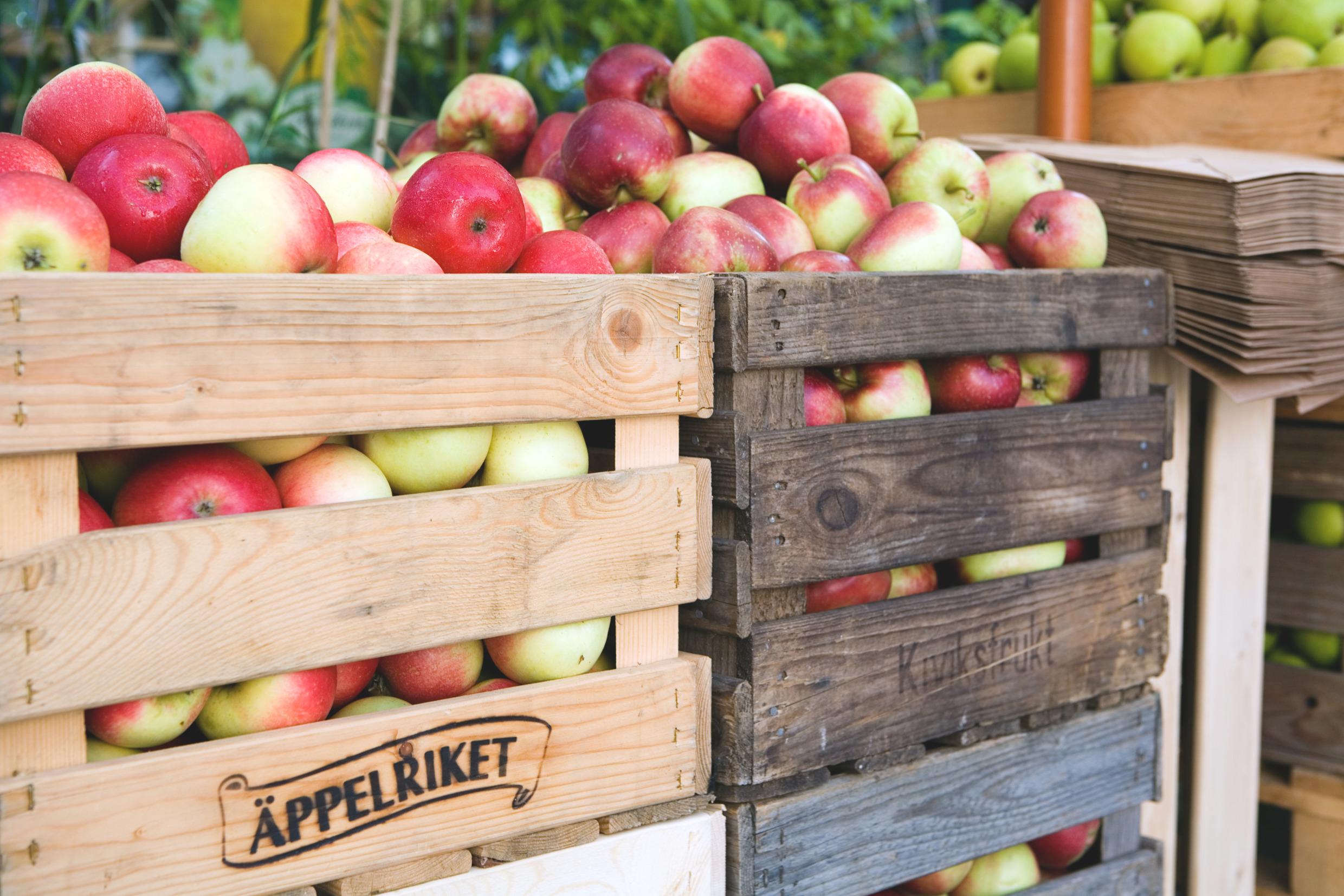 Fruit and vegetable farm