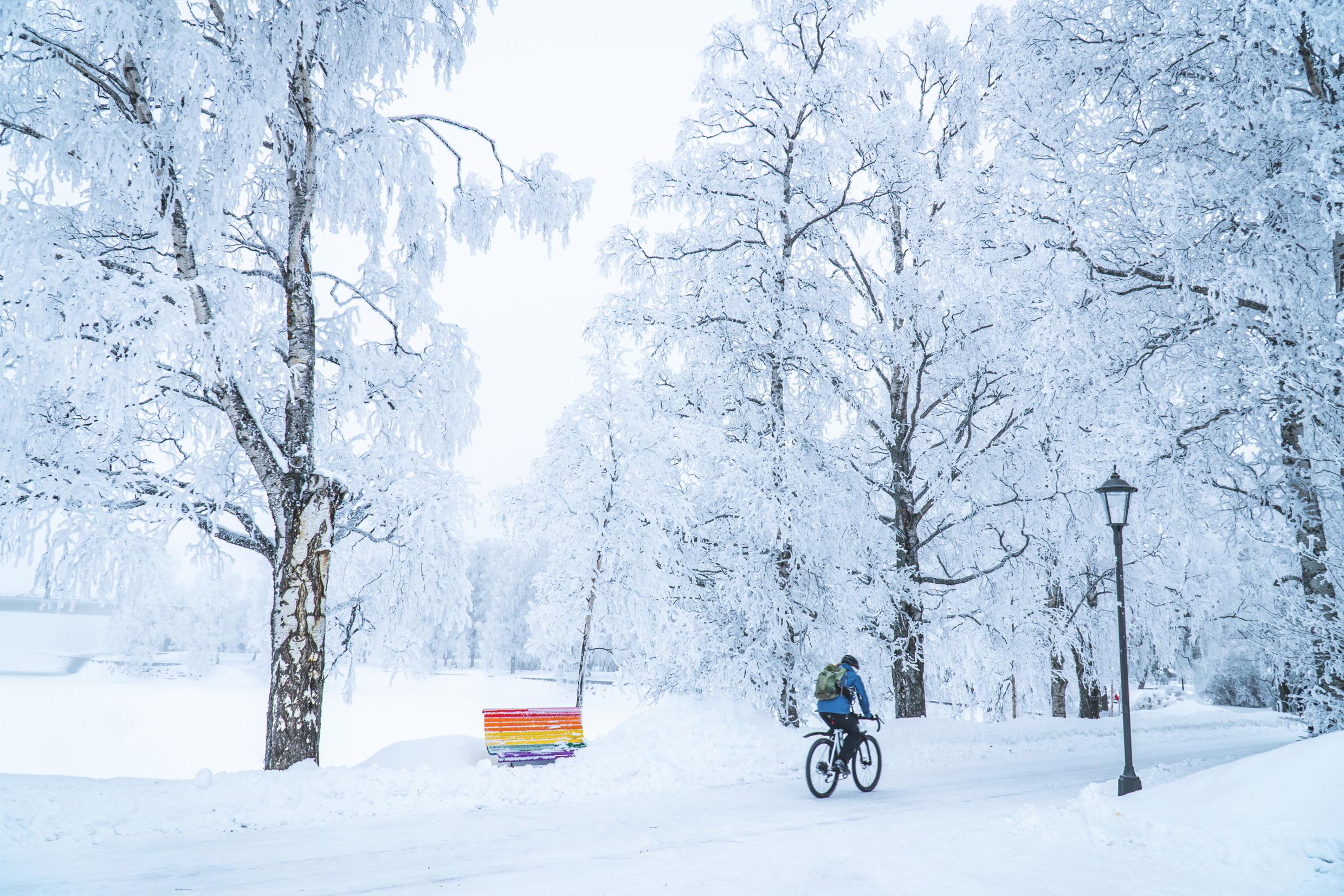 Cycling in the snow on a snow-covered street next to a rainbow bench.