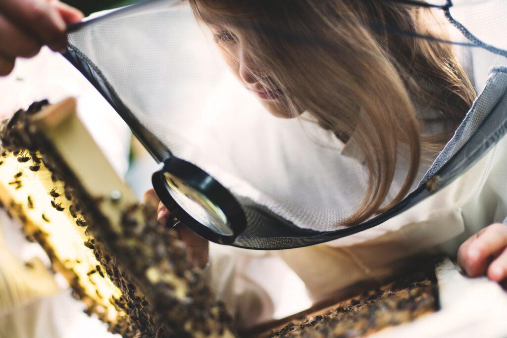 A girl in safety gear looks down on bees in a hive.