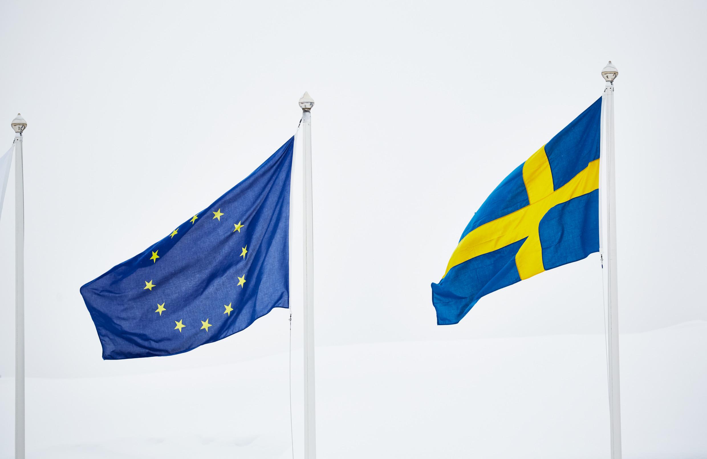 Sweden in the EU